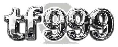 tf999 logo